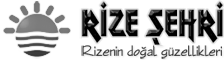 footer-logo