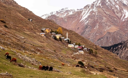 Ortaklar Yaylası