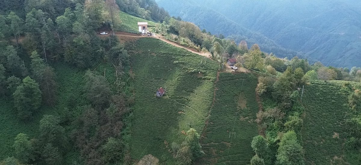 Yeşil Dağ Manzarası