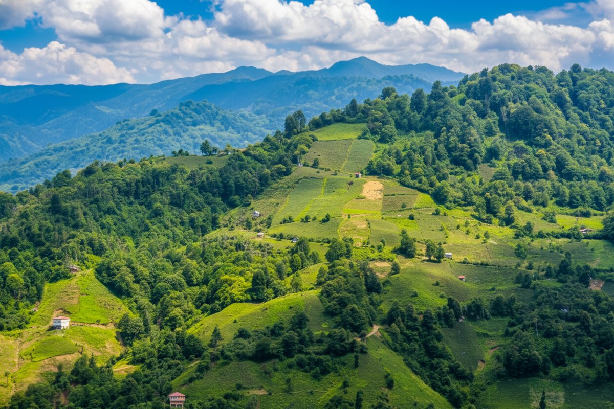 Yobidüzü - Bulizeni